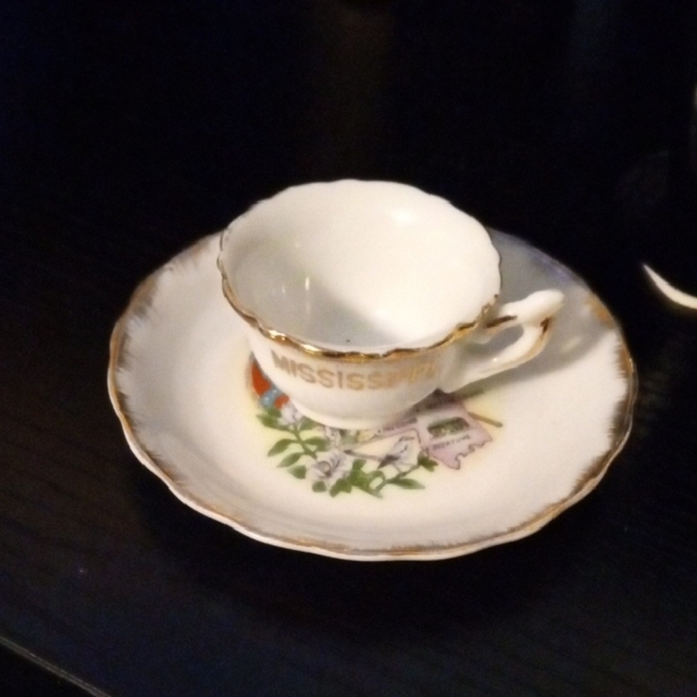 Vintage Small Mississippi Souvenir Teacup and Saucer